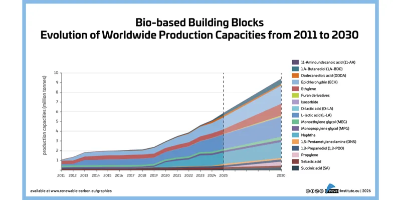 Global bio-based polymer market forecast to grow 11% annually through 2030, nova-Institute report finds